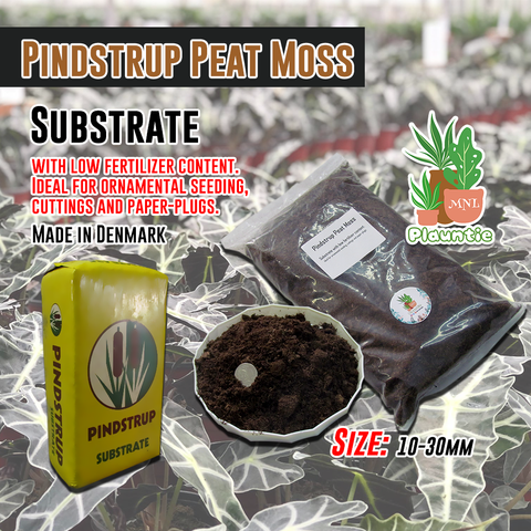 8f861e235a1819738fc194d0d7abbb17