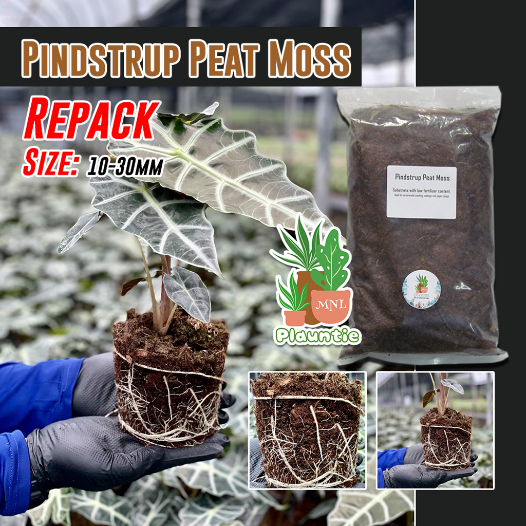 71066201724ca5af1fd52c0bb7a1187e