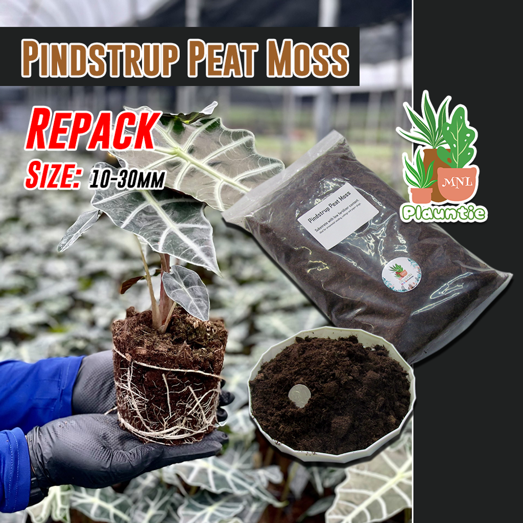 9ca3e5e9cb16de6c1ea5fcd07c2ae9ab