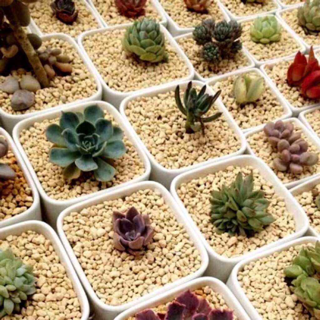 1a1a6567093b5abd3f253aa967bedf72