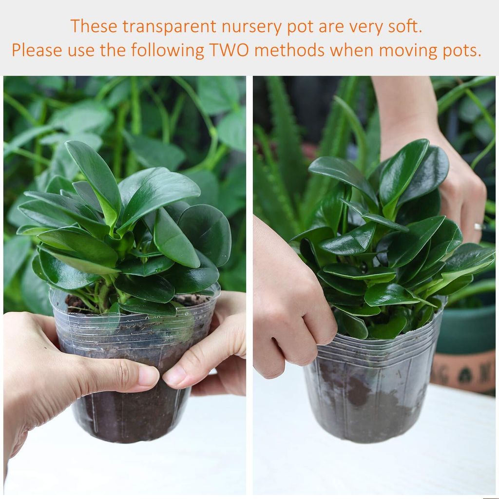 e62fd824a6470abe68d41046e0abcc05