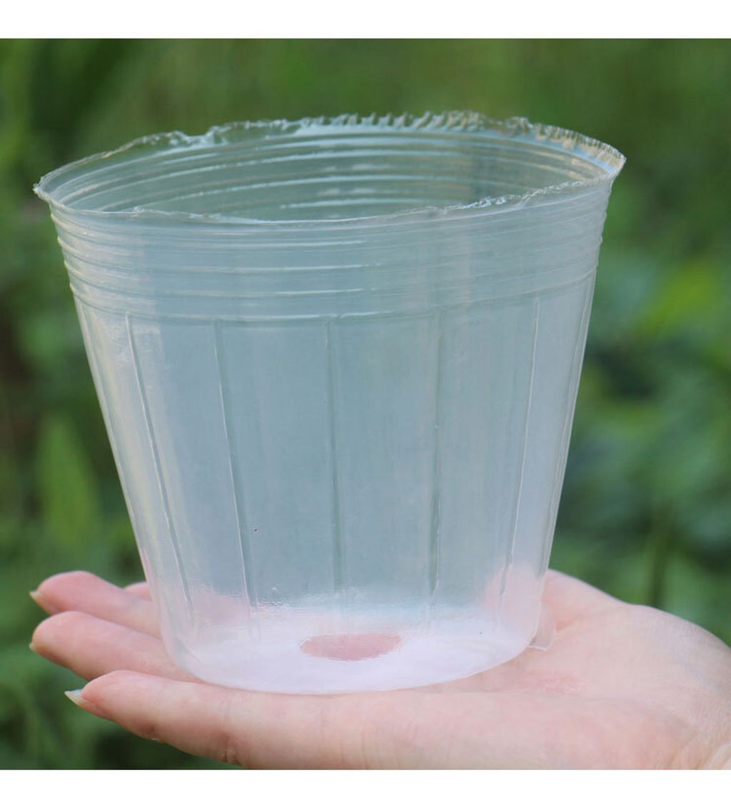 264e5dec42d9e1a33d64a4e584a896c1