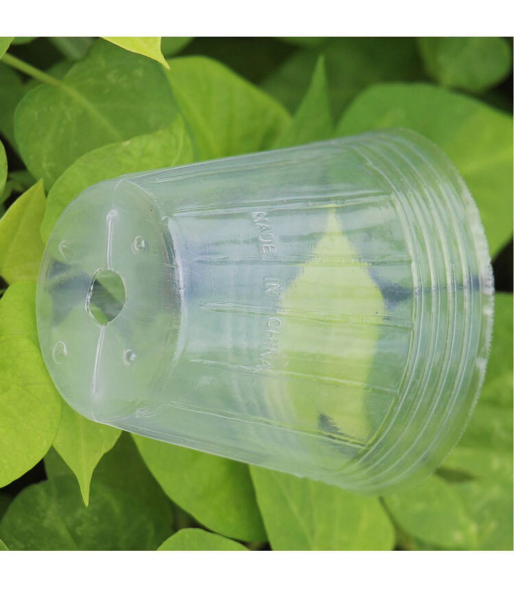 1f02e1dcb0fee8b8a6440ab730eff42e