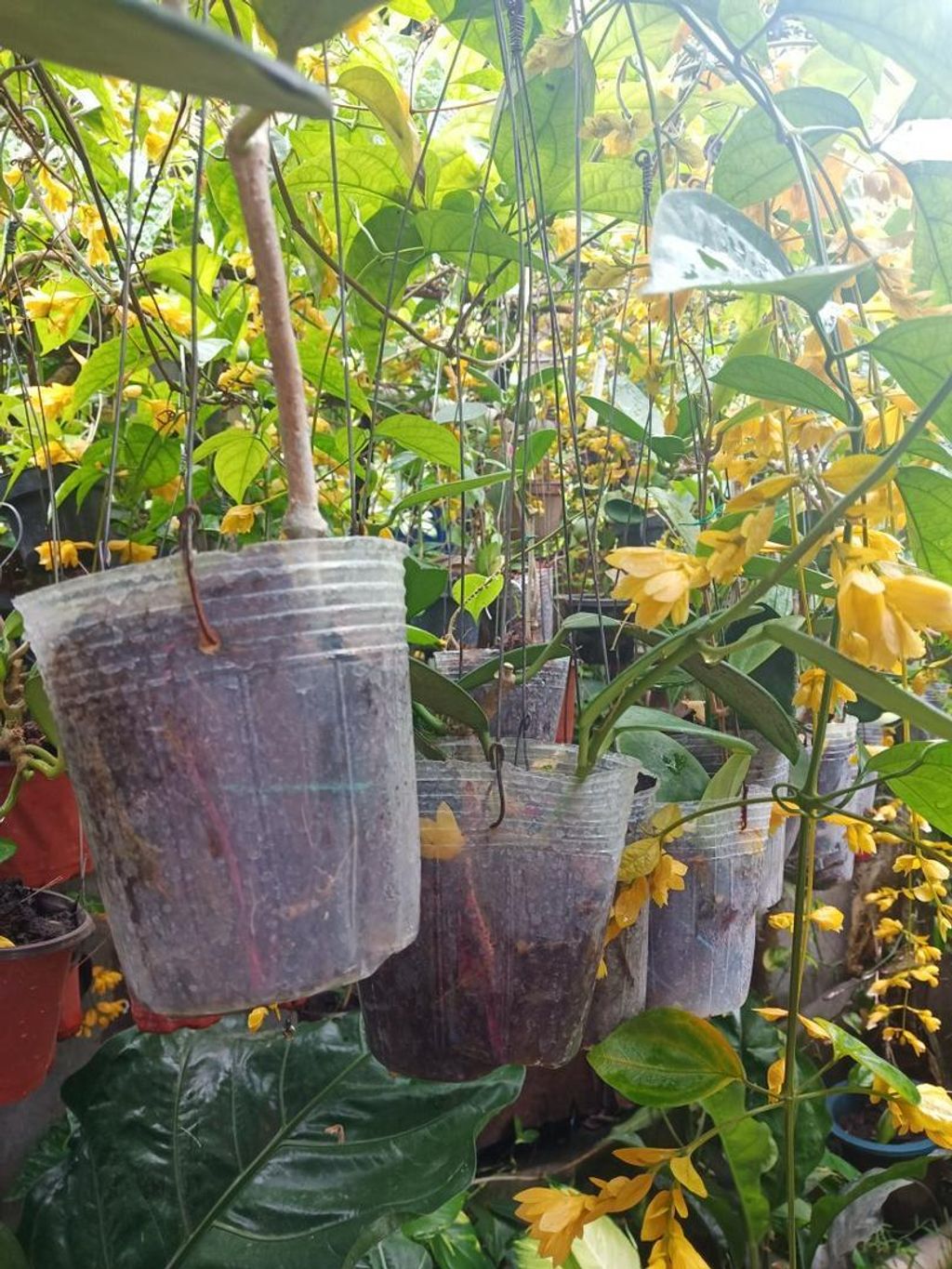 b431d55aba7e2d419cca2e995c4c8bde