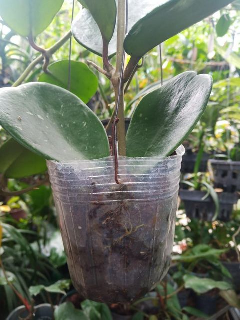 bbb84e108b637f7cf3d337dfe8d98258