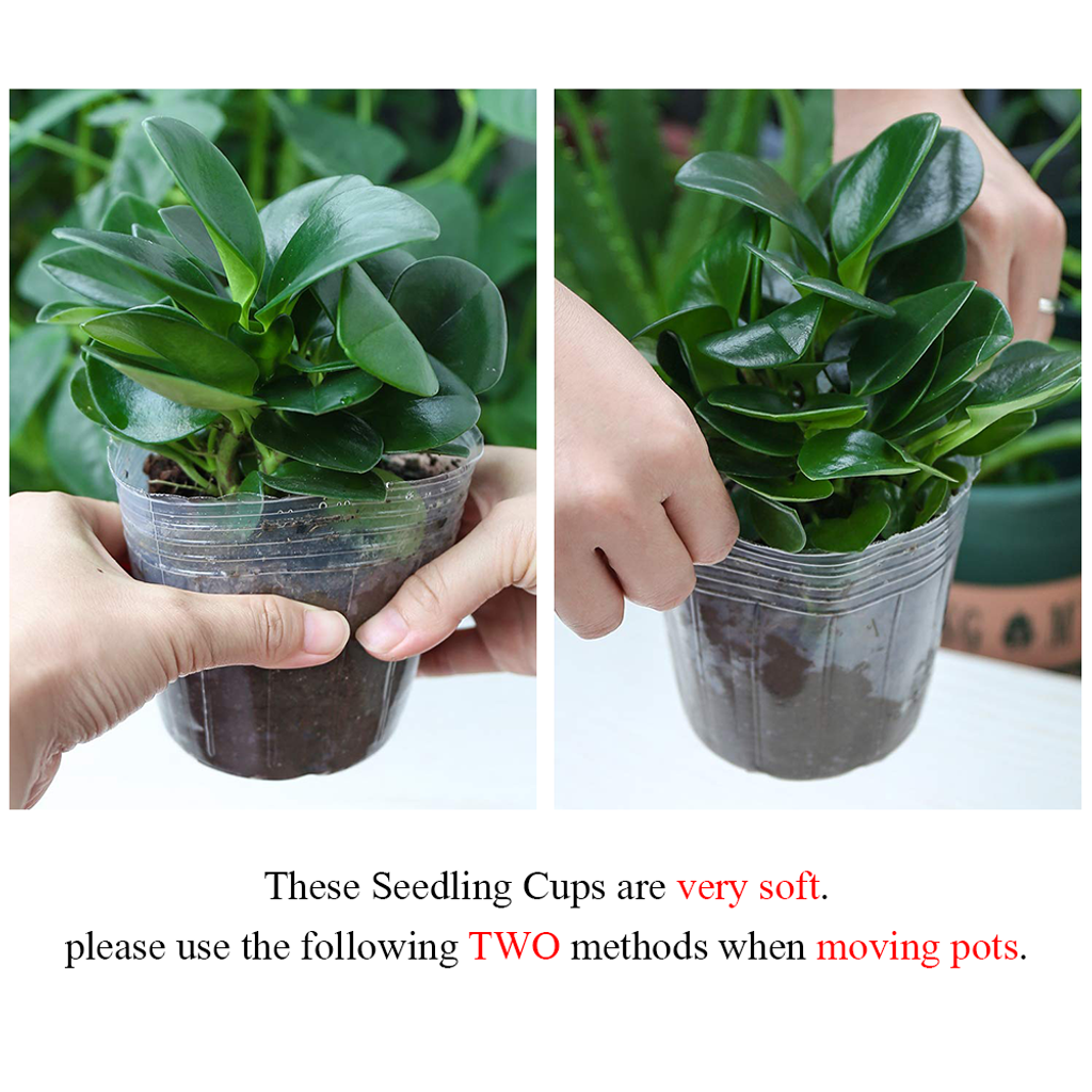 92d77b1a0159df0bfc561d47f9e192f4