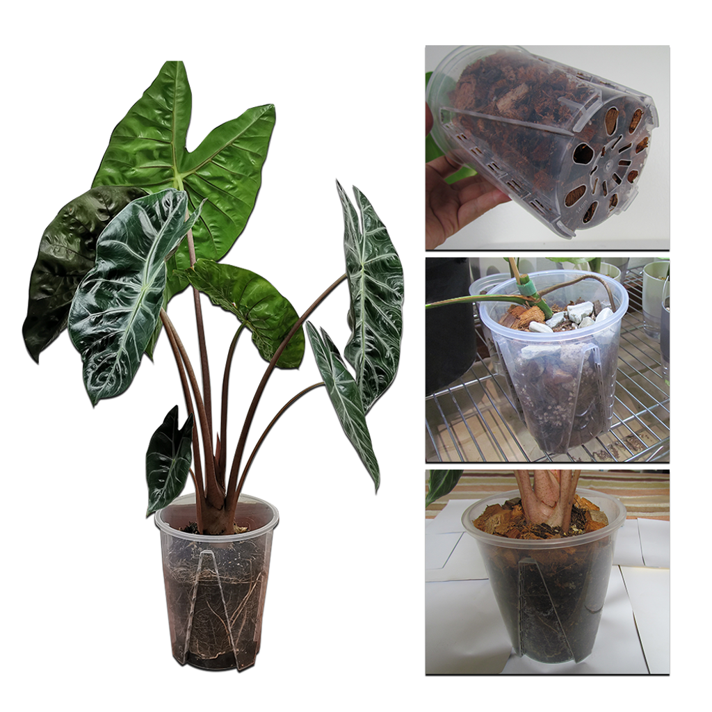 8fb755253840365f66c5f710cc088c3e