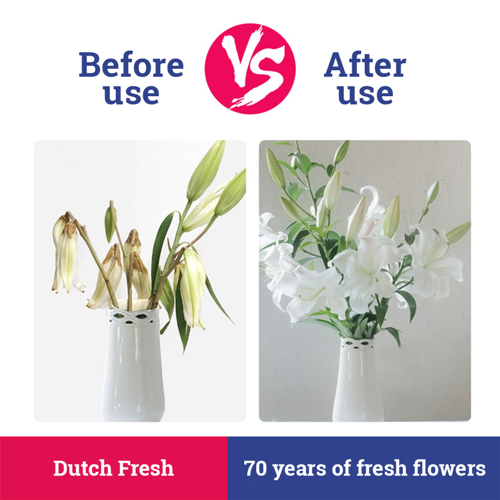 8de10b67b22da57cd0315546021a1fbf