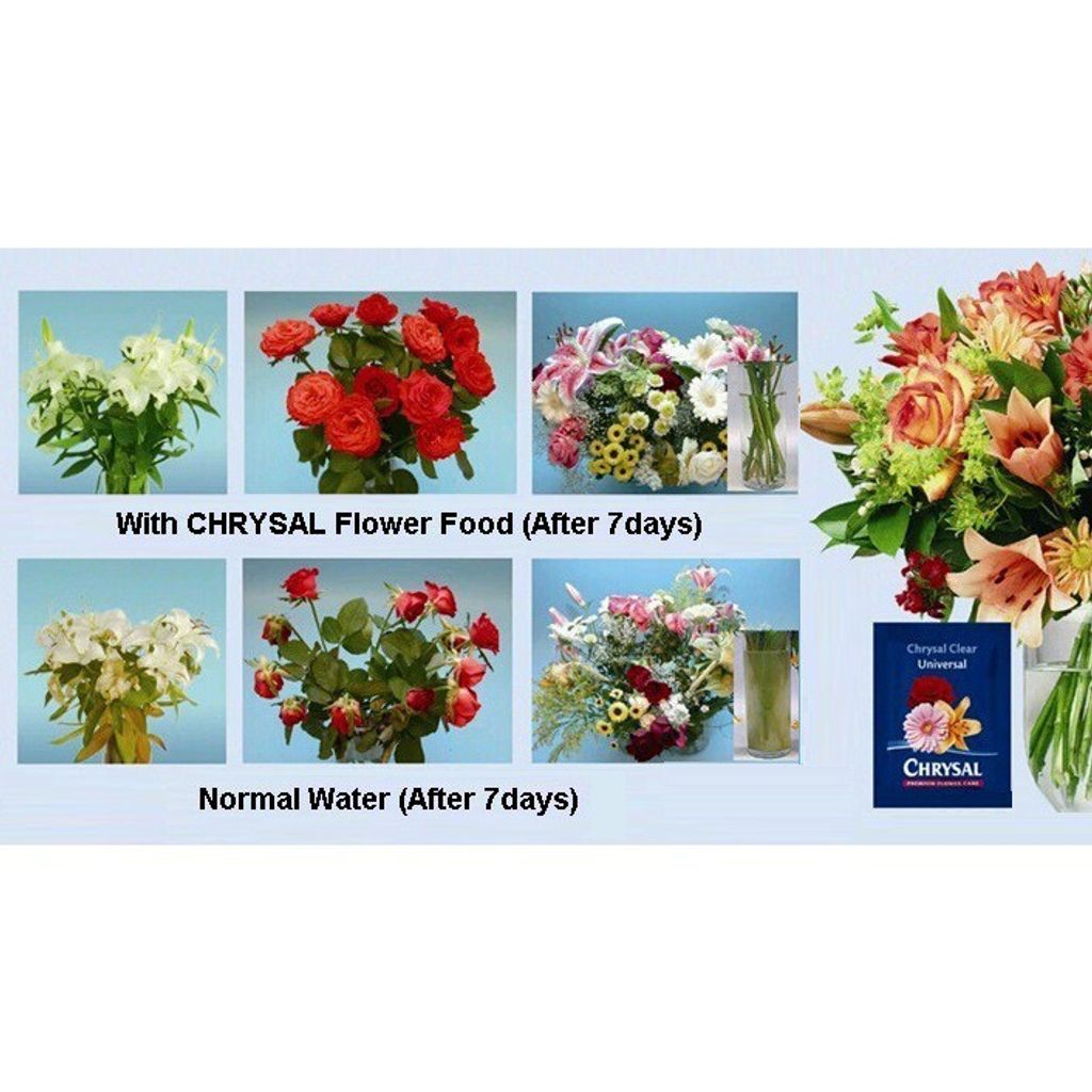 5d04fa7b7945e0daf59df8f0f2cc4833