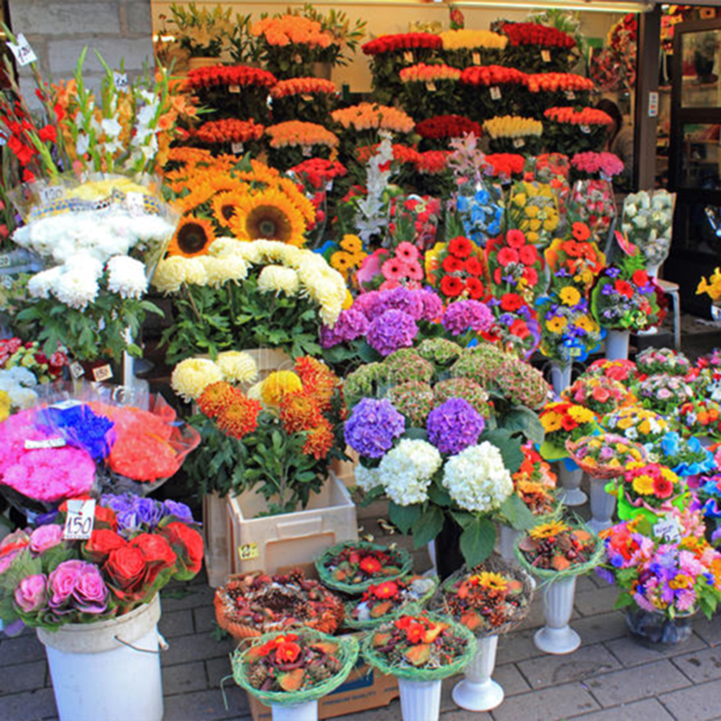 99d82b9945d8d65a7cc2a048d4a004de