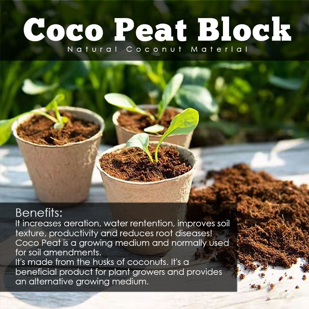 6f71e6bd2adf42ba1f9871991fb4891c