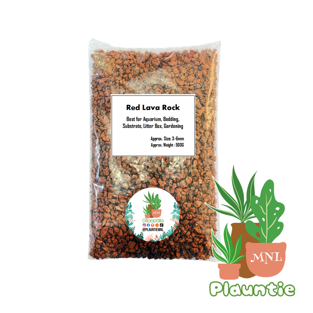 21585a6bfdfe0ba91a888411e8f42700