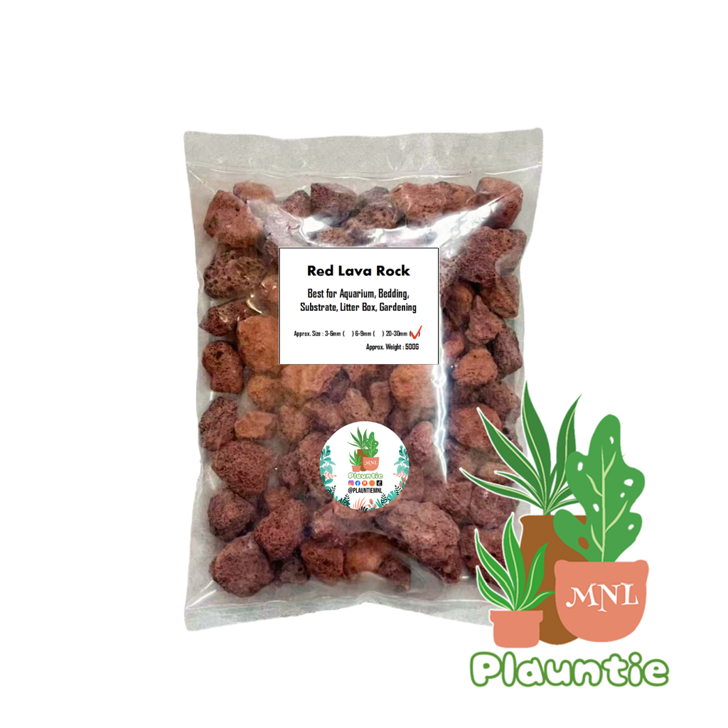 900bd16dbce2171a74c7601f4bf72a93