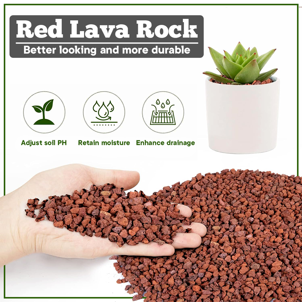 8b045a8043d30421b8611b79949d35e2