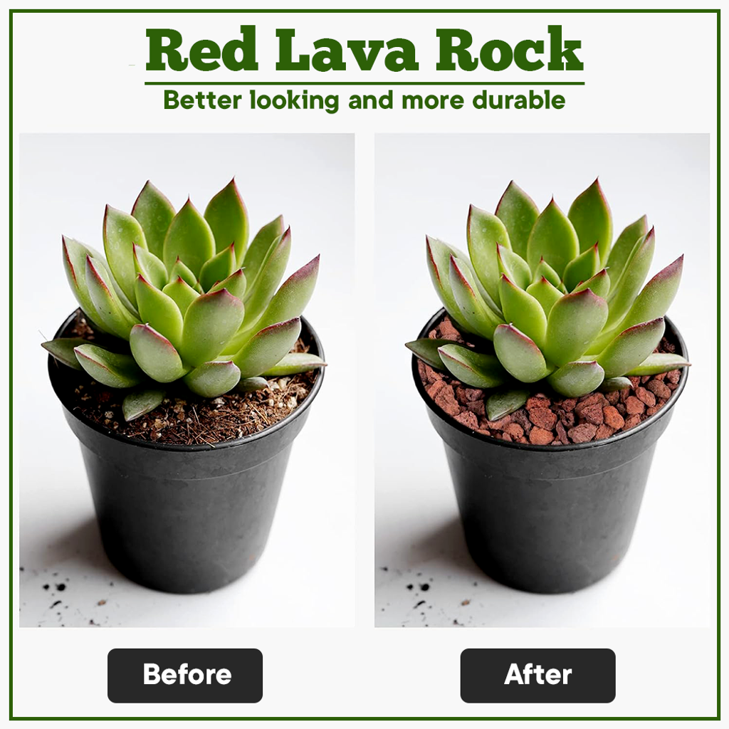 e5e86861f8b8960a279d2dc53bfae8e4