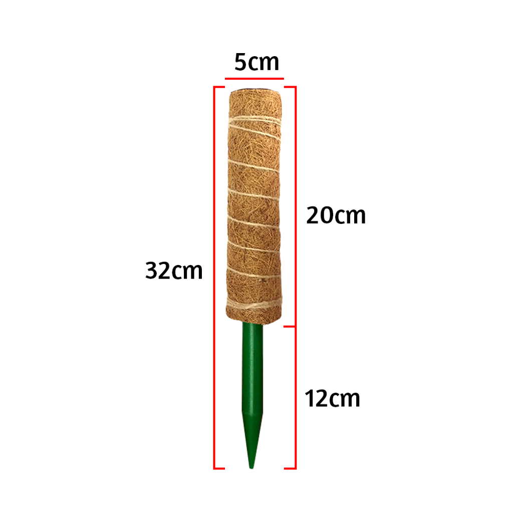 7f88972ee39697eeb3197c5eac0e6088