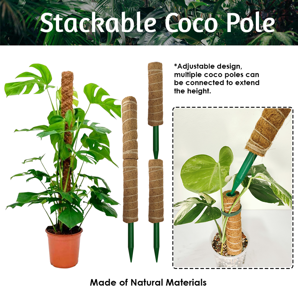 1cffc33fc2e5db147d2c488d076a62aa