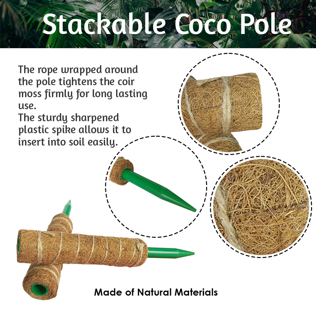 5d29b2d3bc8d12dea8a849c1b16b3383