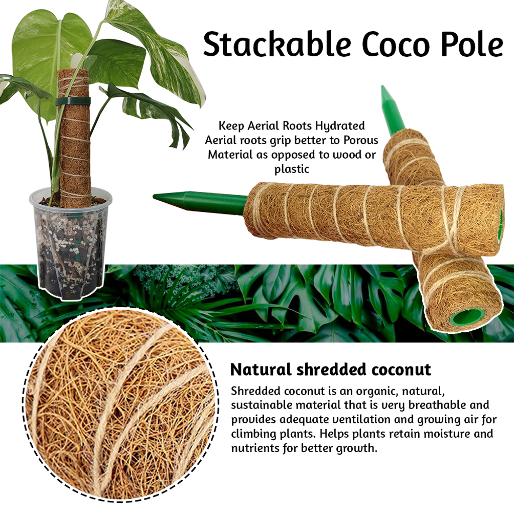 1d1cda062a854f329ca4539e8f0a8d3b