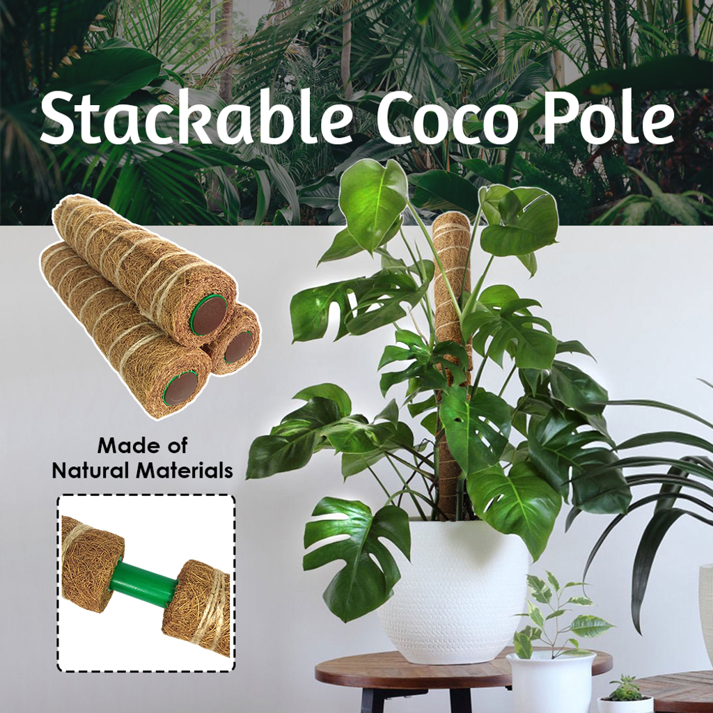 eff10c6b808d4e2ee154dbfa42cf57b0