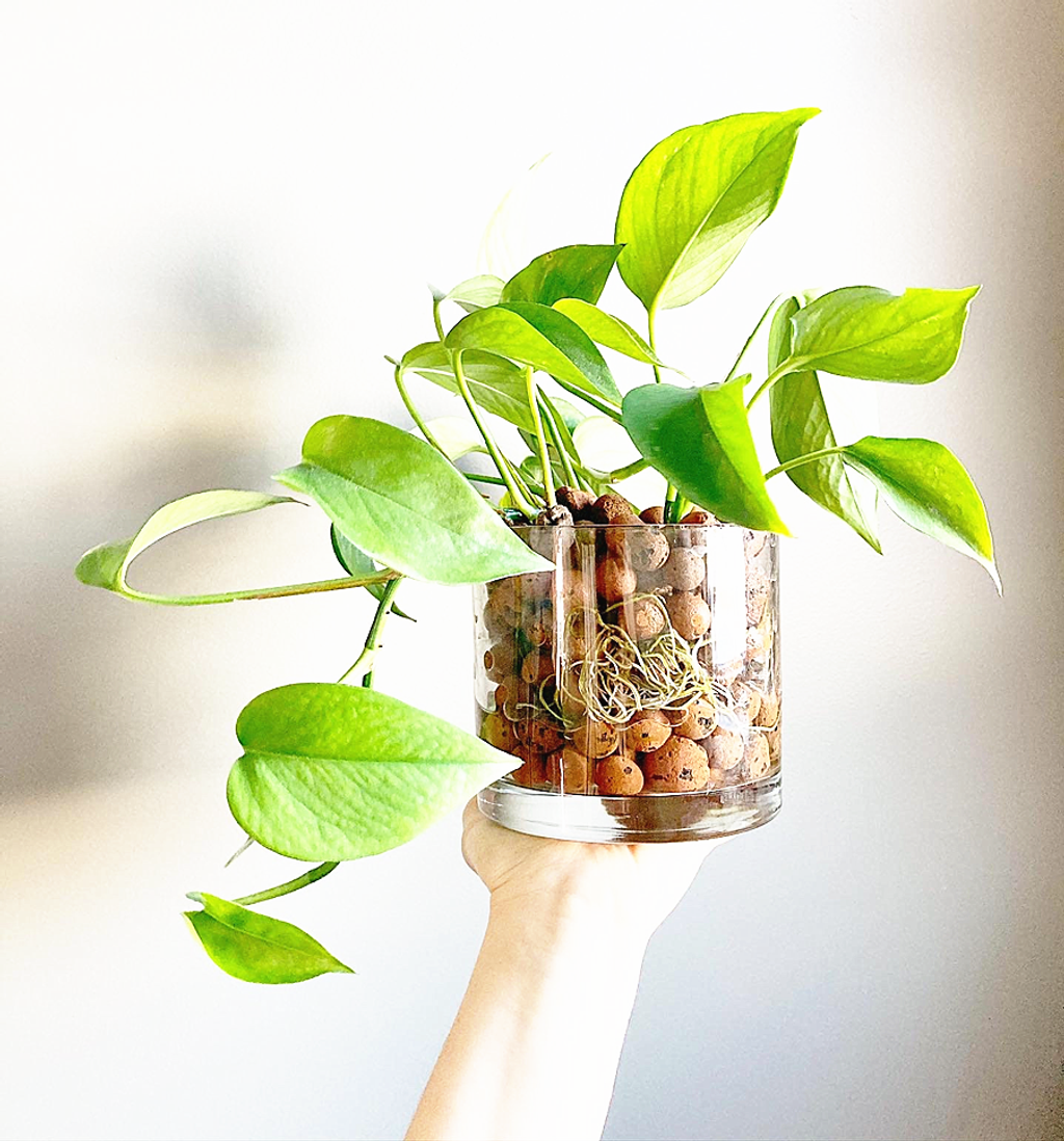 6b8ff2381644c1d37e54c7966db0f307