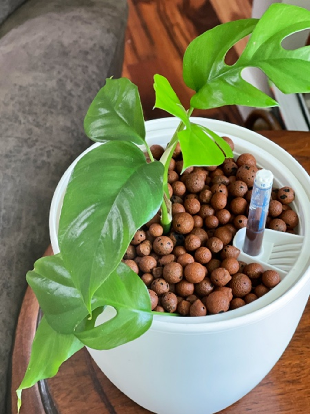 0b4d45ae16d1f9215ee63109efd4acf1