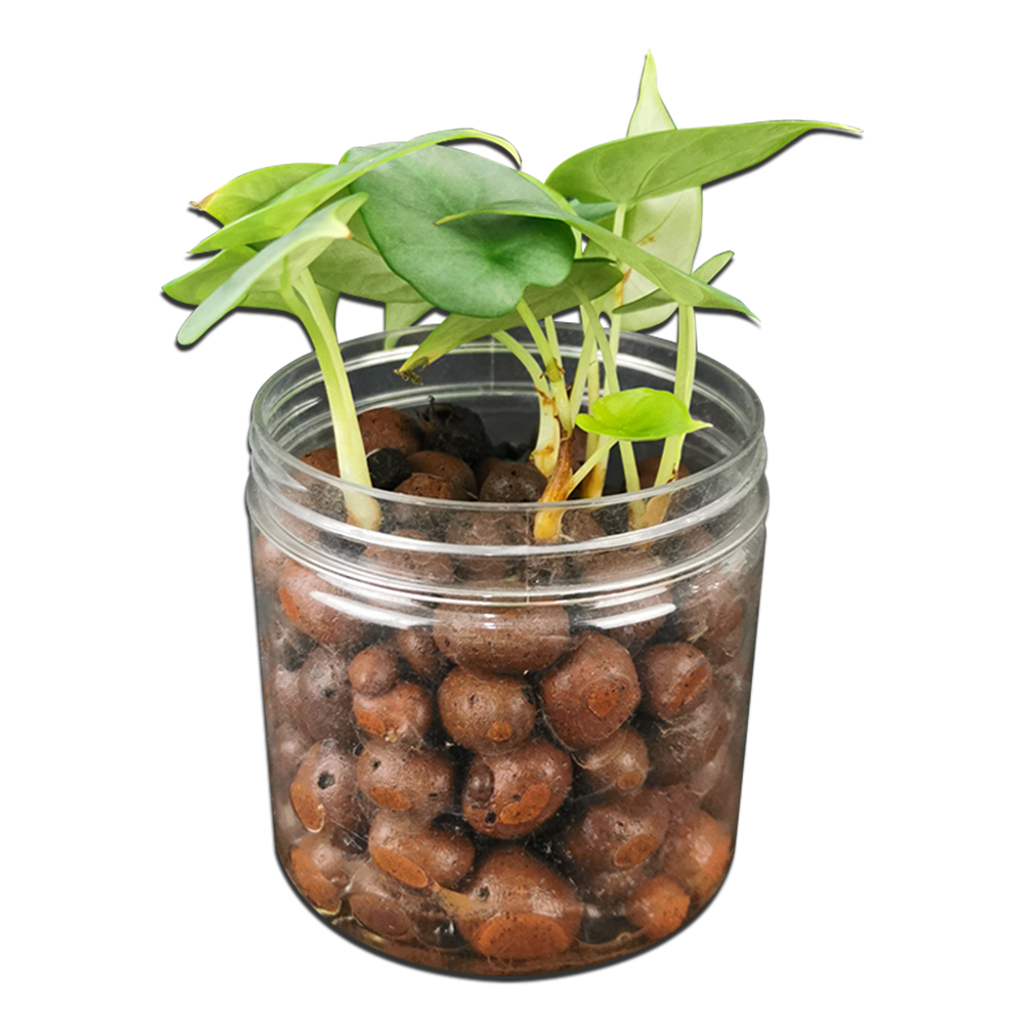 e7fff958ad9b5c1ad0b61dc13004fb0a