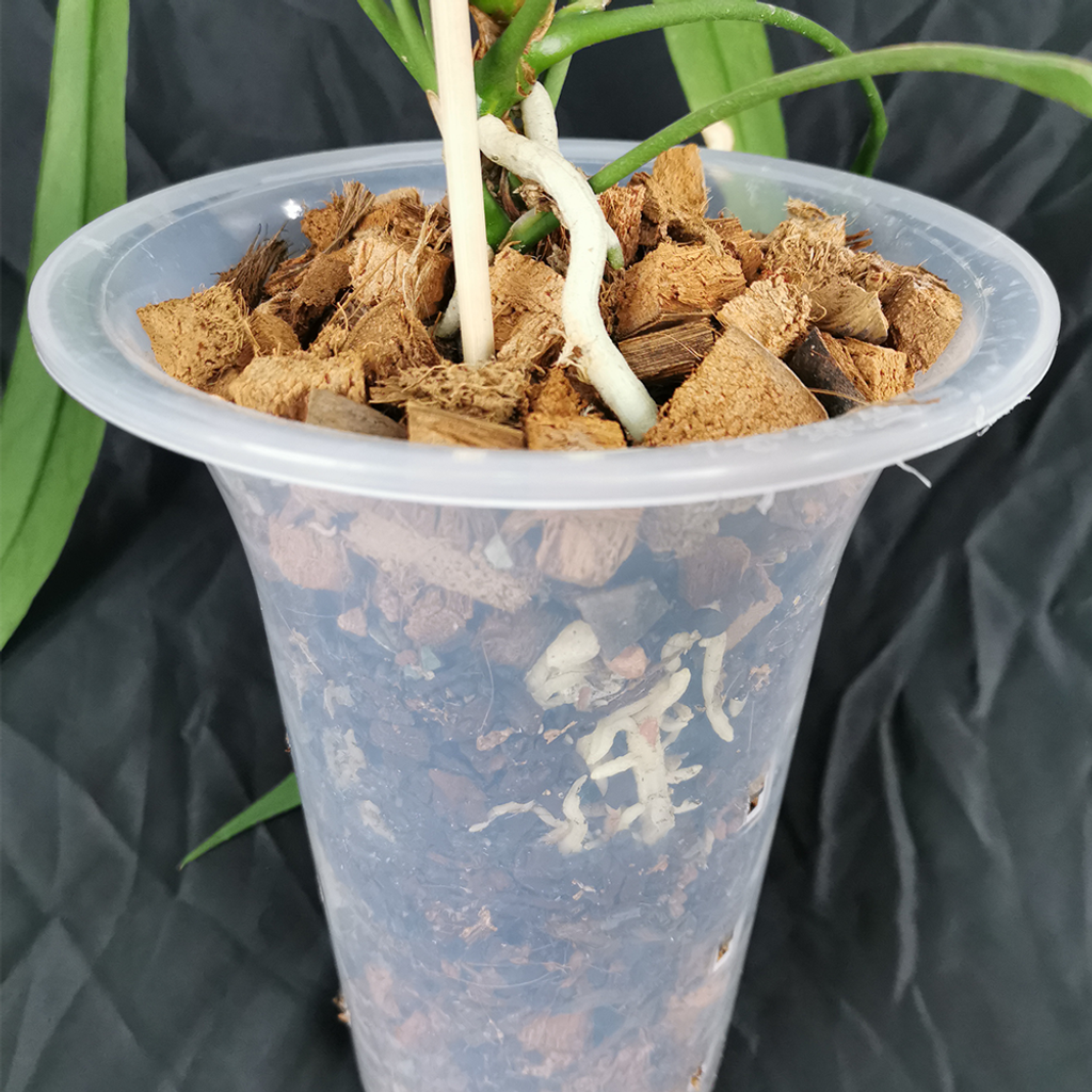 dfae839dfdade0edaf3ae42e8f3c68c2