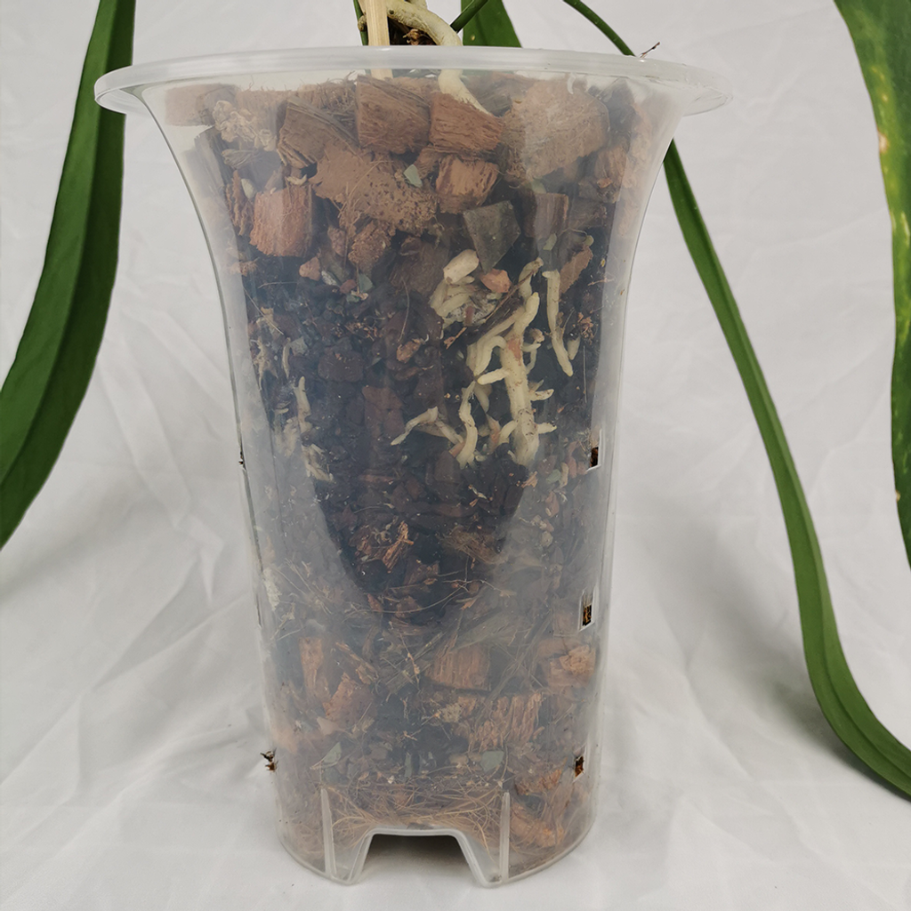 62fa42cb2fbe05fe04a67e85d86897d7