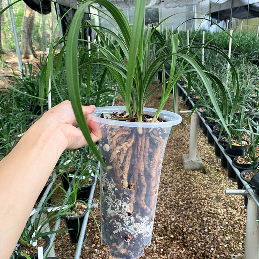 fe3d02230705f9c340479e2702dd05c5