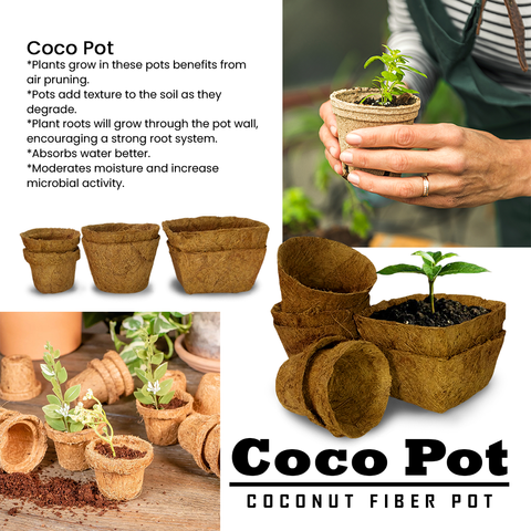 f8d2423d3b79982fd5825f8ee99dcfb0