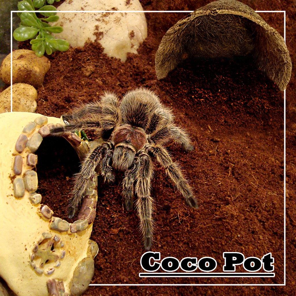 febff7a3614e9accf6e2ad639ce196db