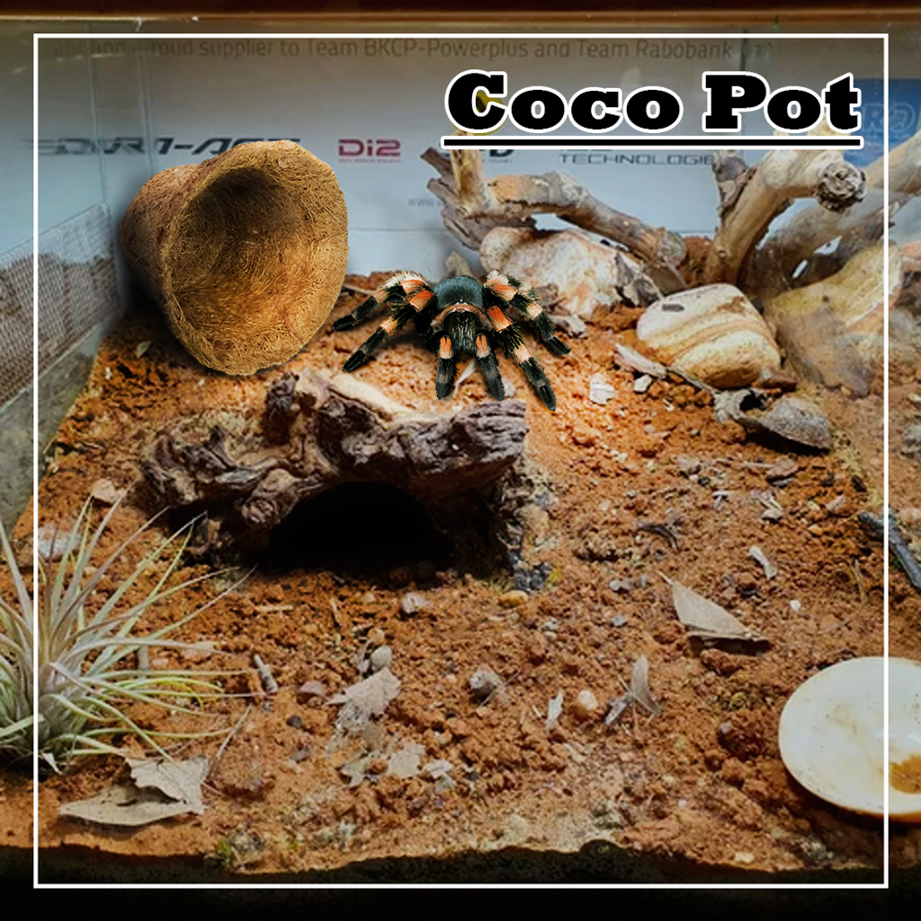 186b292a13c4a34c4e5d2701e5a86bfa