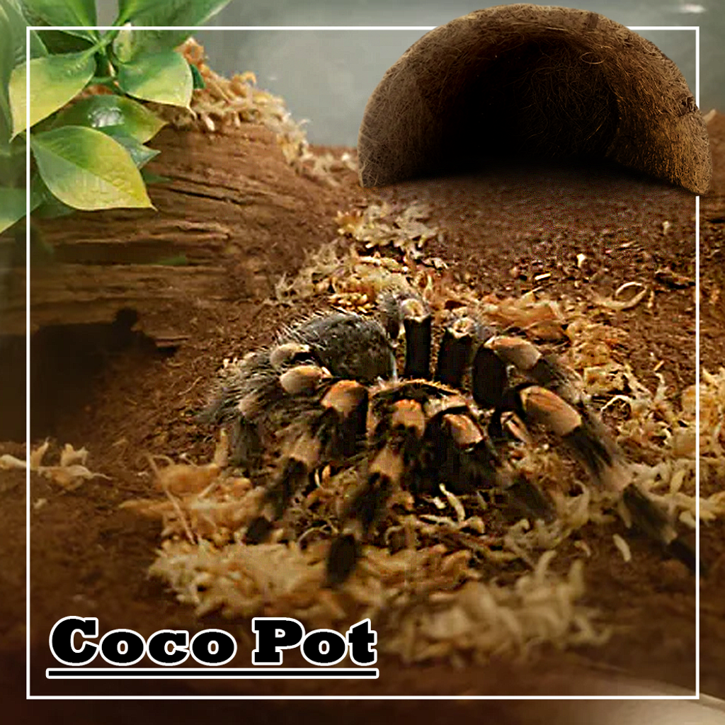 d5ffef98ded420abe90623a8a4126c39