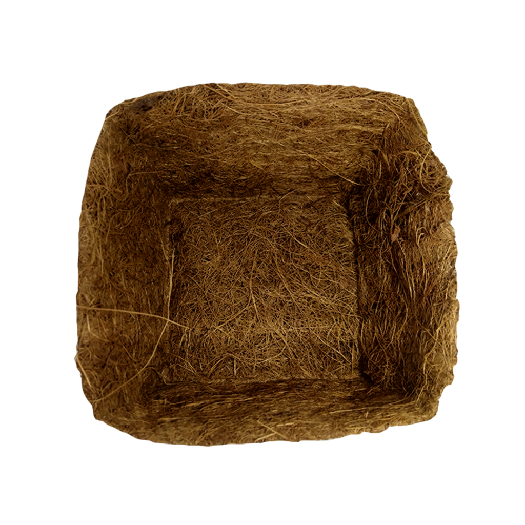 1decdf3dfe63280324cc02d886cbaff9