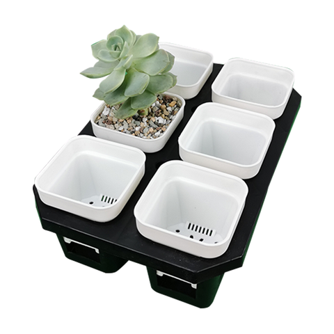 42e0d99e94407eec67b8914ef2b9b9e2