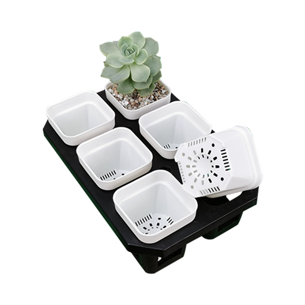 b8f5c2e1a15ab2bbaeddd174b1f43ebe