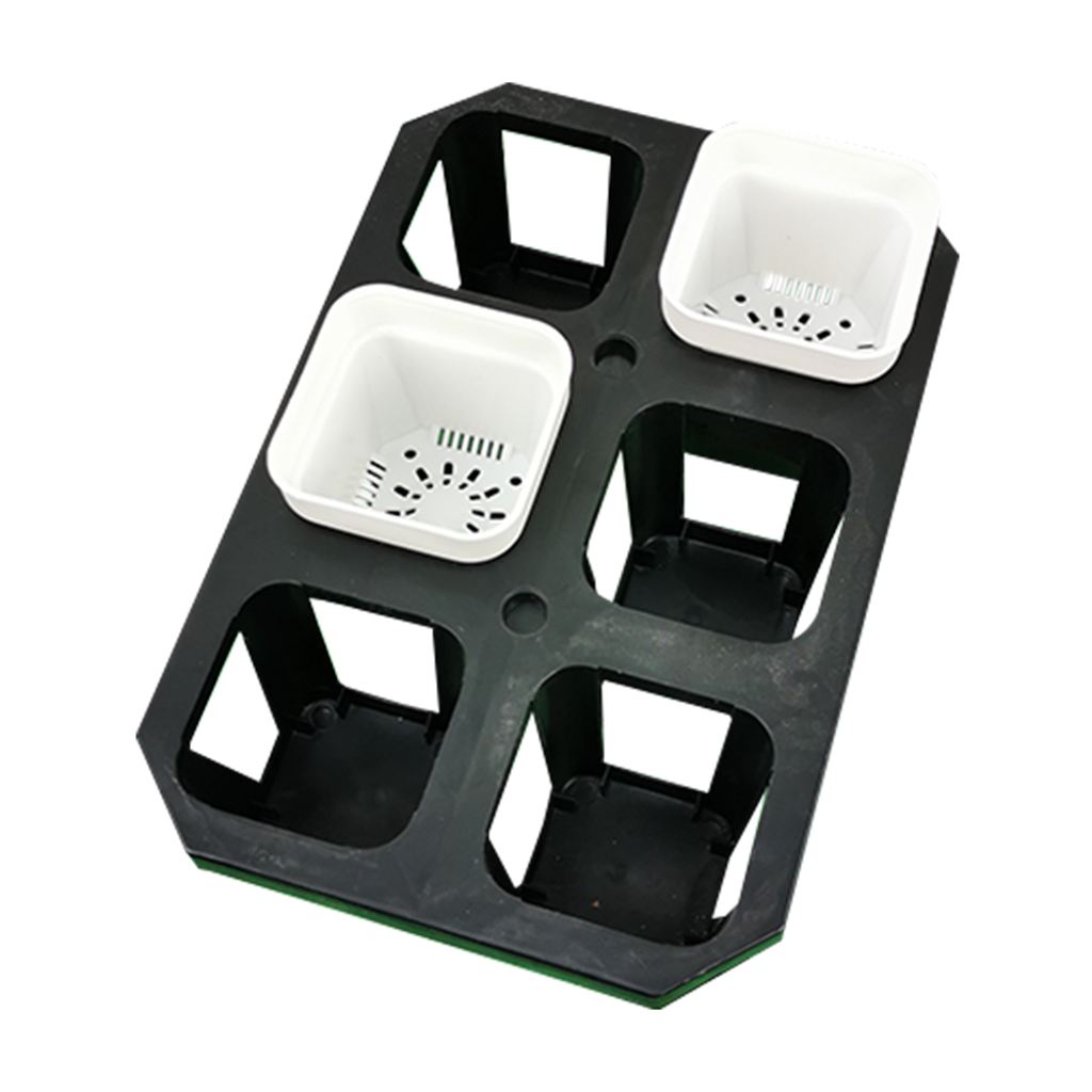 555aa767abe9a48fd956fb600089cbde