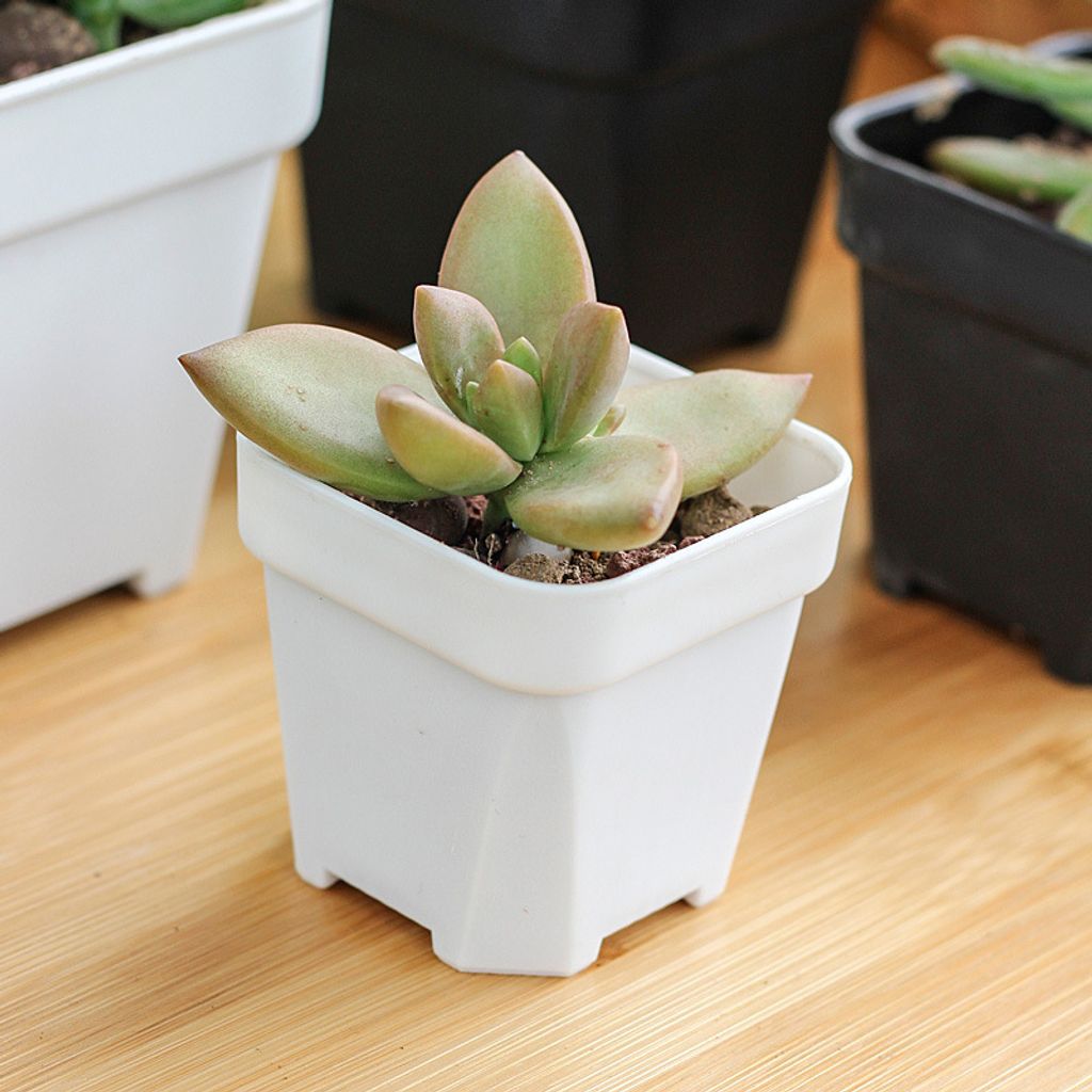 a1fb9d528c41be6ef7f84bad8807f9a3