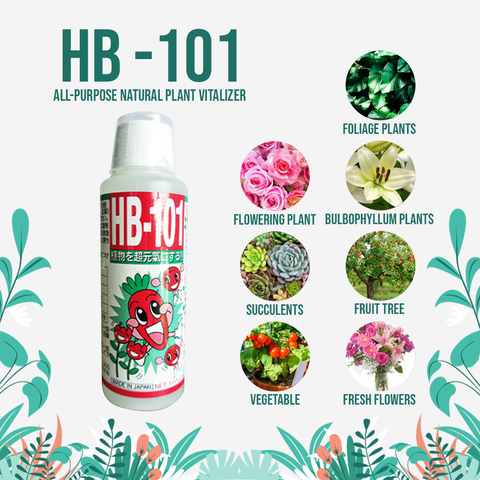 a41ffed163cff6aa638f98808abda46f