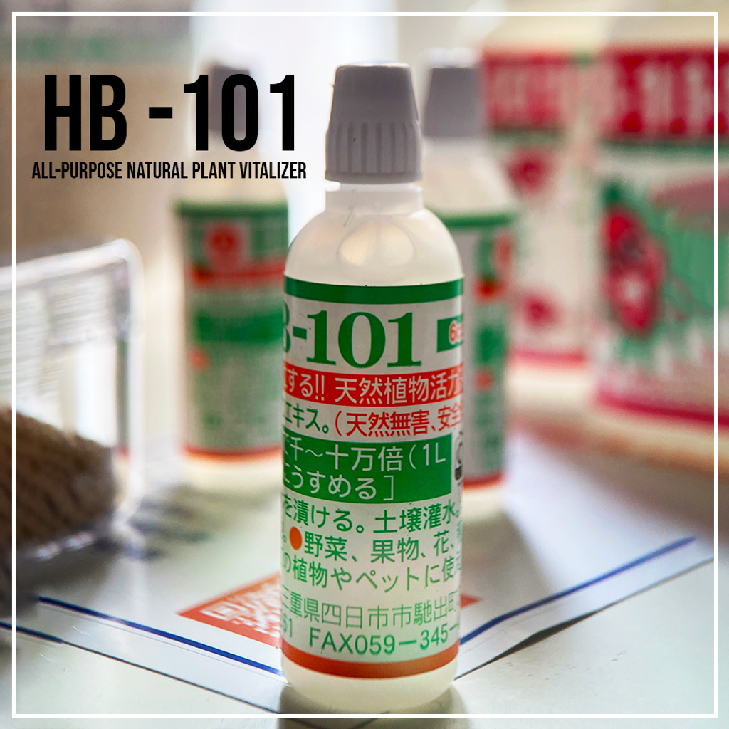 caf94705902bec49e77acb5c8ab87c4c