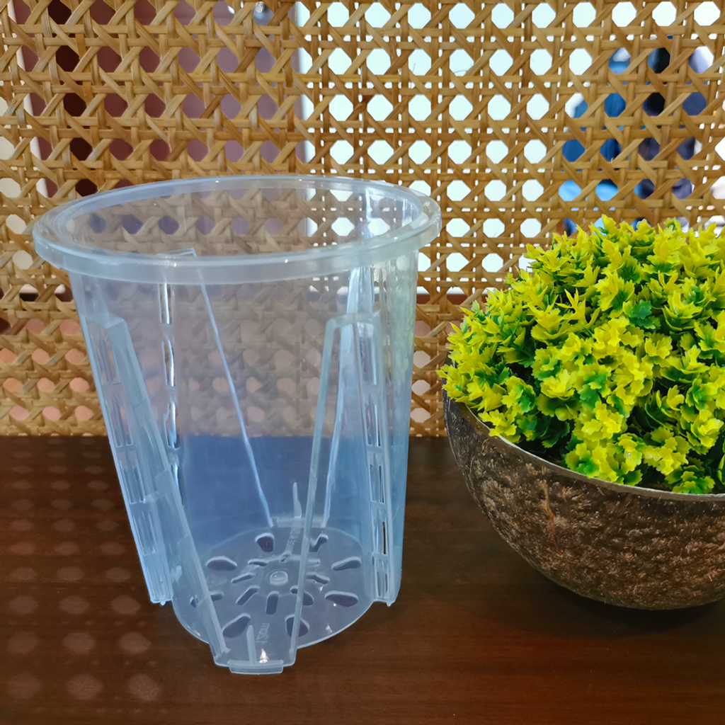 d50ca2af0478aaa75580267a30259420