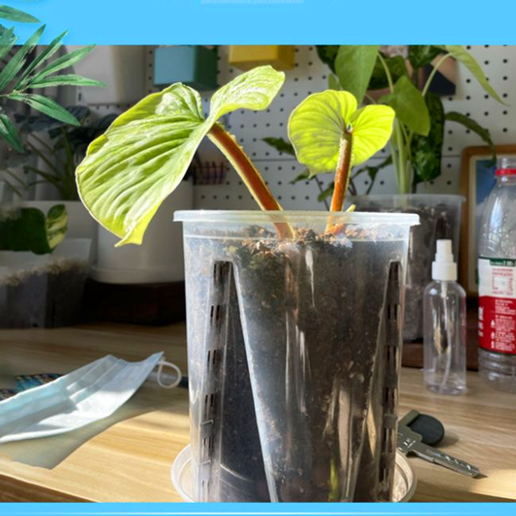 ae2109ed6507d1ba578124d420e87458