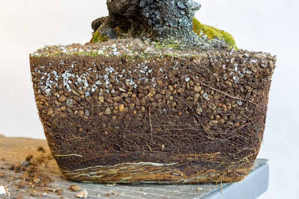 5286fe204ef53f0dc557e54f8f8ee80b