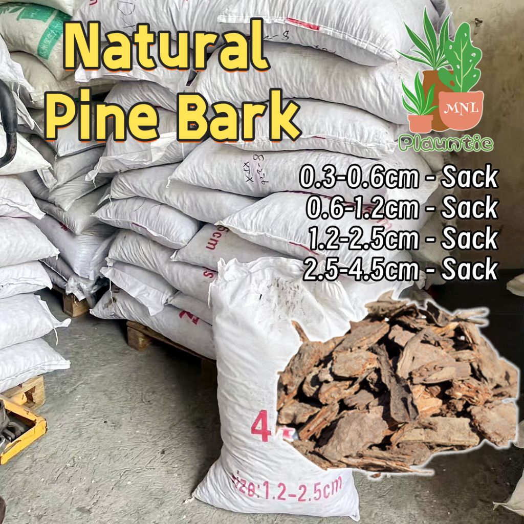 ph-11134207-81ztd-mdy7j4phmvwnc1