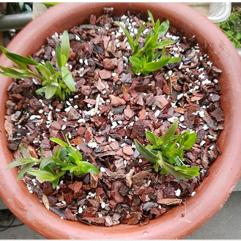 ph-11134207-81zth-mdy7netw579h63