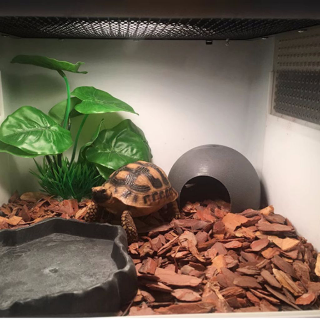 ph-11134207-81ztj-mdy7neuhssg7b9