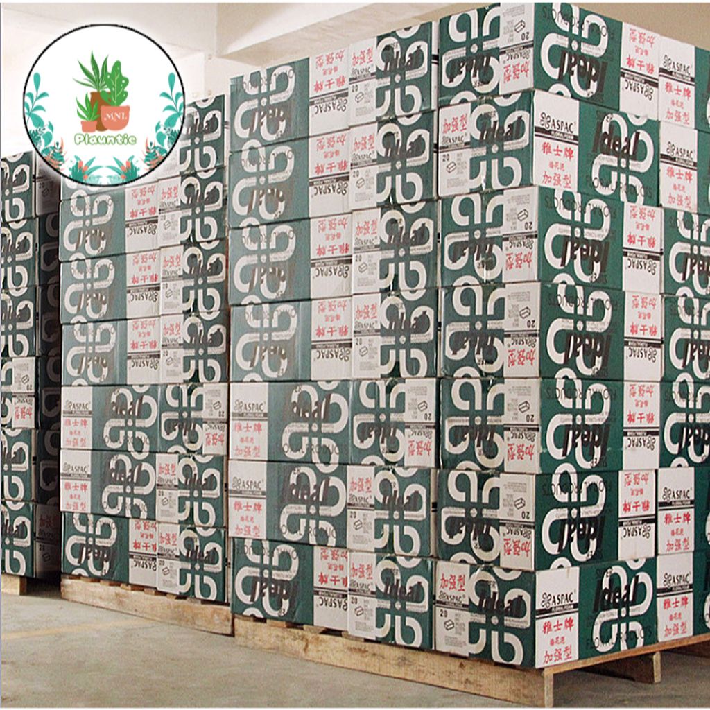 ph-11134207-7rasf-m9ci5tmo12fh02