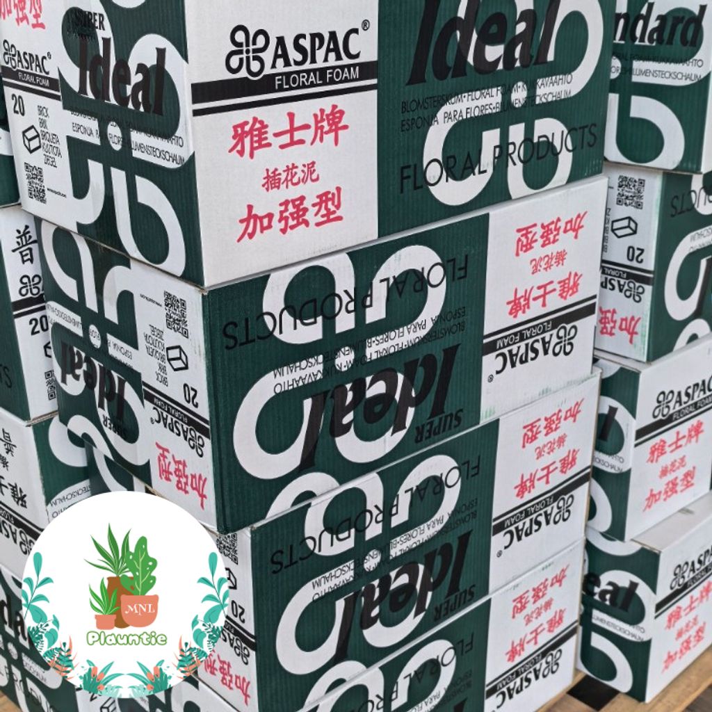 ph-11134207-7rasl-m9ci5tmo2gzxae