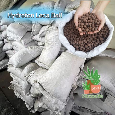 ph-11134207-81zto-mdydu2vej9c455